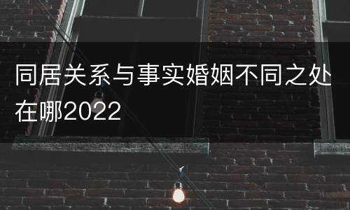 同居关系与事实婚姻不同之处在哪2022