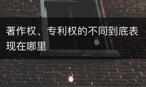 著作权、专利权的不同到底表现在哪里