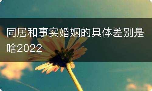 同居和事实婚姻的具体差别是啥2022