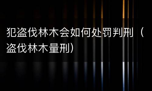 犯盗伐林木会如何处罚判刑（盗伐林木量刑）