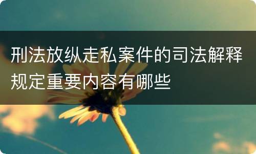 刑法放纵走私案件的司法解释规定重要内容有哪些