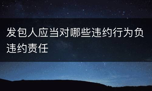 发包人应当对哪些违约行为负违约责任