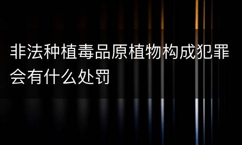 非法种植毒品原植物构成犯罪会有什么处罚