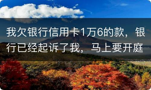 我欠银行信用卡1万6的款，银行已经起诉了我，马上要开庭了，会判刑吗