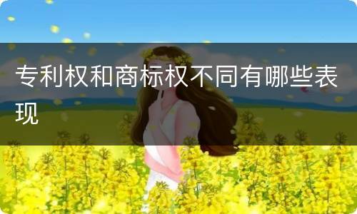 专利权和商标权不同有哪些表现