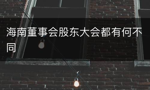 海南董事会股东大会都有何不同