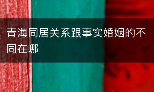 青海同居关系跟事实婚姻的不同在哪
