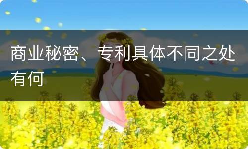 商业秘密、专利具体不同之处有何