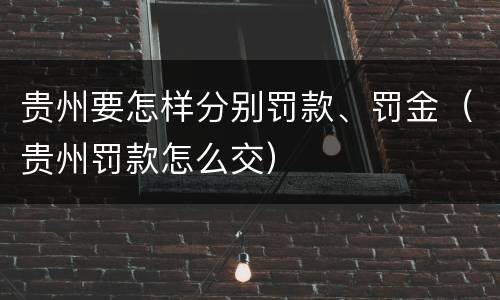 贵州要怎样分别罚款、罚金（贵州罚款怎么交）