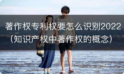 著作权专利权要怎么识别2022（知识产权中著作权的概念）