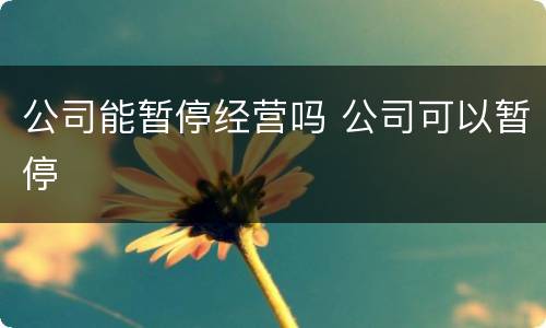 公司能暂停经营吗 公司可以暂停
