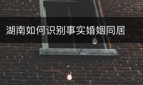 湖南如何识别事实婚姻同居