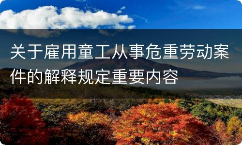 关于雇用童工从事危重劳动案件的解释规定重要内容