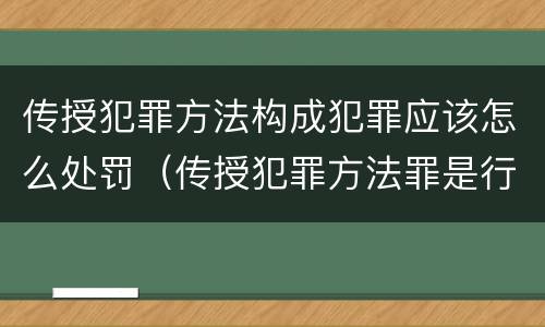 传授犯罪方法构成犯罪应该怎么处罚（传授犯罪方法罪是行为犯吗）