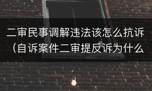 二审民事调解违法该怎么抗诉（自诉案件二审提反诉为什么不能调解）
