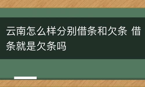 云南怎么样分别借条和欠条 借条就是欠条吗