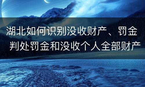 湖北如何识别没收财产、罚金 判处罚金和没收个人全部财产如何执行