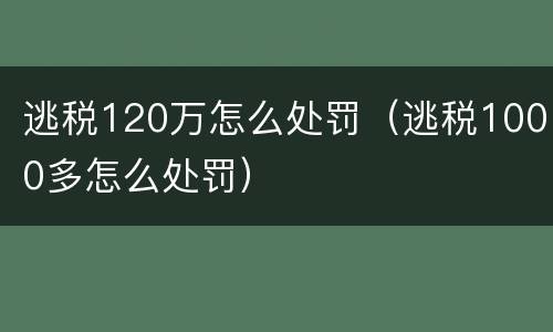 逃税120万怎么处罚（逃税1000多怎么处罚）
