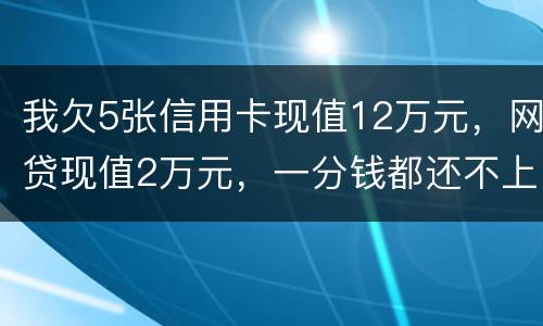 我欠5张信用卡现值12万元，网贷现值2万元，一分钱都还不上了，会判多少年