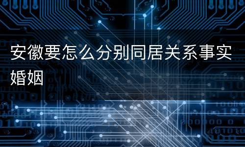 安徽要怎么分别同居关系事实婚姻