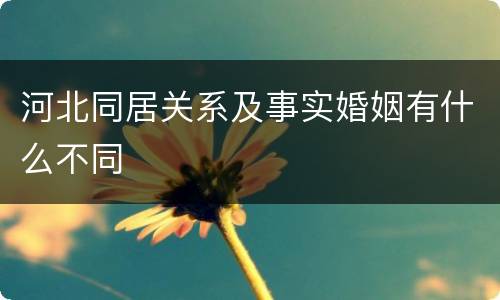 河北同居关系及事实婚姻有什么不同