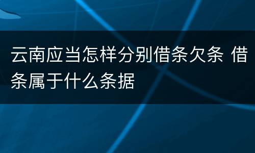 云南应当怎样分别借条欠条 借条属于什么条据