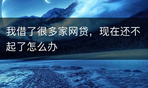 我借了很多家网贷，现在还不起了怎么办