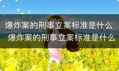 爆炸案的刑事立案标准是什么 爆炸案的刑事立案标准是什么意思