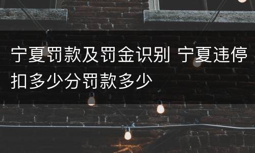 宁夏罚款及罚金识别 宁夏违停扣多少分罚款多少