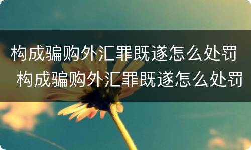构成骗购外汇罪既遂怎么处罚 构成骗购外汇罪既遂怎么处罚的