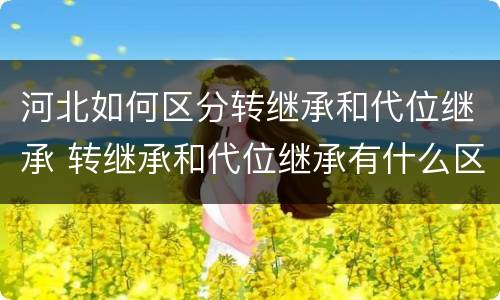 河北如何区分转继承和代位继承 转继承和代位继承有什么区别
