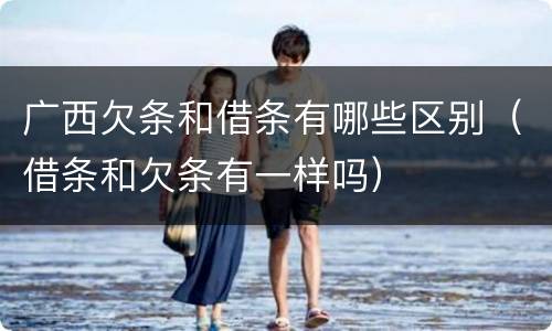 广西欠条和借条有哪些区别（借条和欠条有一样吗）