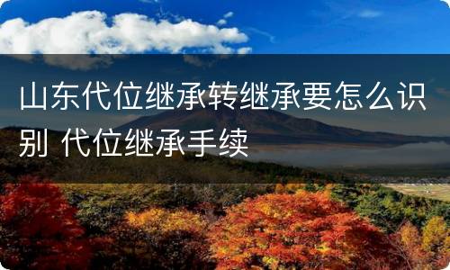 山东代位继承转继承要怎么识别 代位继承手续