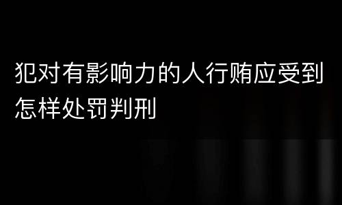 犯对有影响力的人行贿应受到怎样处罚判刑