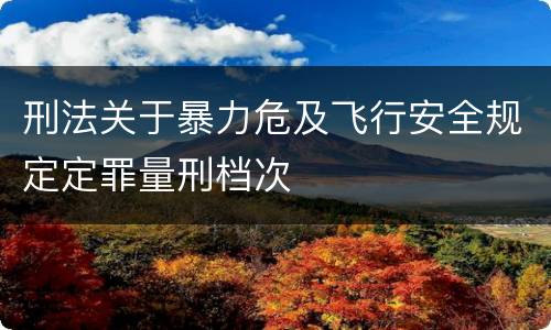 刑法关于暴力危及飞行安全规定定罪量刑档次