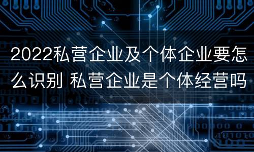 2022私营企业及个体企业要怎么识别 私营企业是个体经营吗