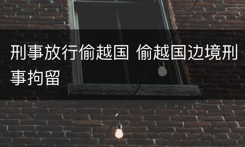 刑事放行偷越国 偷越国边境刑事拘留