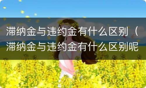 滞纳金与违约金有什么区别（滞纳金与违约金有什么区别呢）