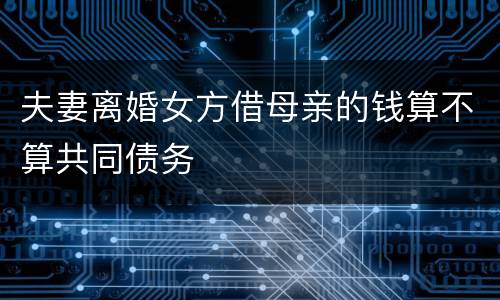 夫妻离婚女方借母亲的钱算不算共同债务