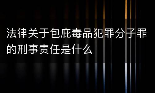 法律关于包庇毒品犯罪分子罪的刑事责任是什么
