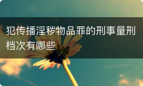 犯传播淫秽物品罪的刑事量刑档次有哪些