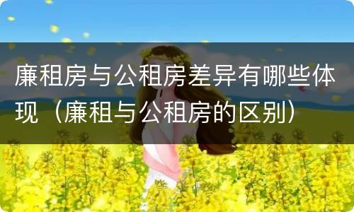 廉租房与公租房差异有哪些体现（廉租与公租房的区别）