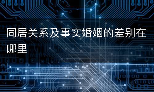 同居关系及事实婚姻的差别在哪里