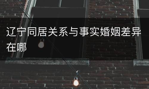 辽宁同居关系与事实婚姻差异在哪