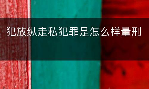 犯放纵走私犯罪是怎么样量刑