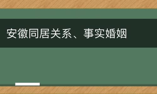 安徽同居关系、事实婚姻
