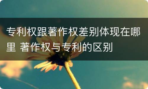 专利权跟著作权差别体现在哪里 著作权与专利的区别
