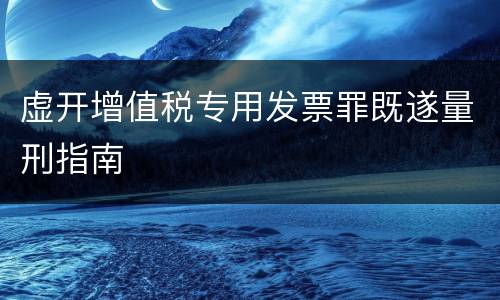虚开增值税专用发票罪既遂量刑指南