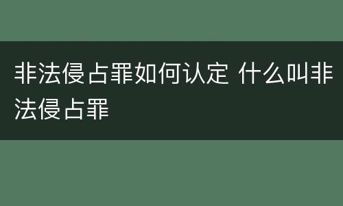 非法侵占罪如何认定 什么叫非法侵占罪