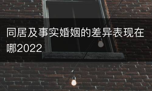 同居及事实婚姻的差异表现在哪2022